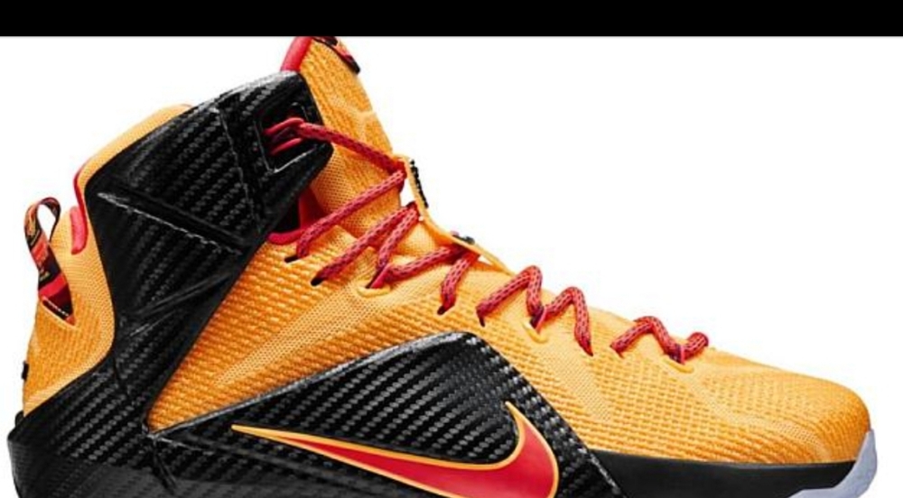 The LeBron 12 CLE Nike Mens 12 🔥obo today